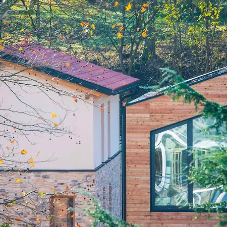 Terme Preistoriche &