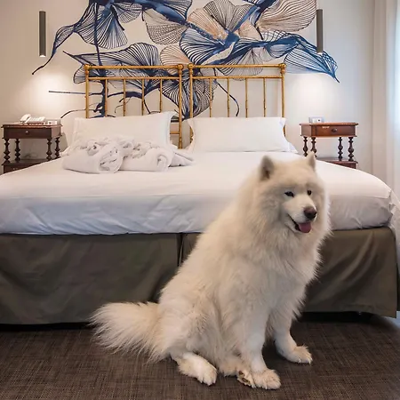 Terme Preistoriche & 4* Montegrotto Terme