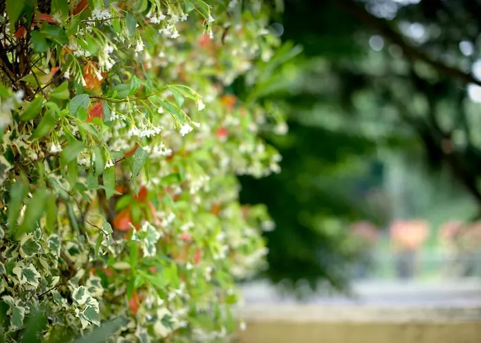 Terme Preistoriche & 4* Montegrotto Terme