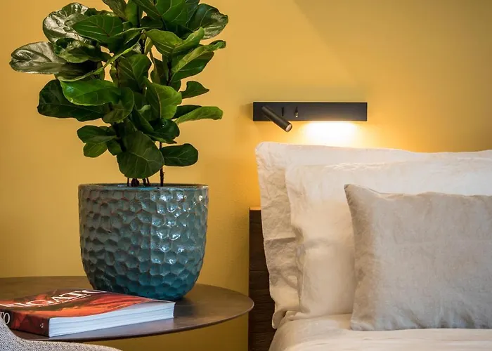 Terme Preistoriche & Montegrotto Terme