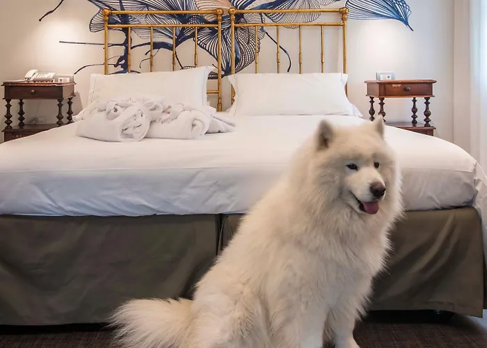 Terme Preistoriche & 4* Montegrotto Terme