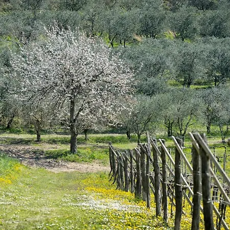 Terme Preistoriche Resort & Spa 4* Montegrotto Terme