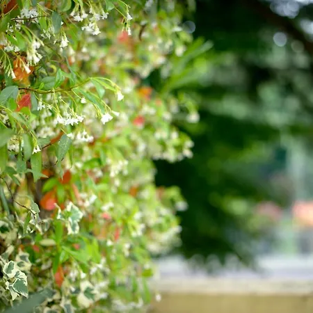 Terme Preistoriche & 4* 몬테그로또테르메